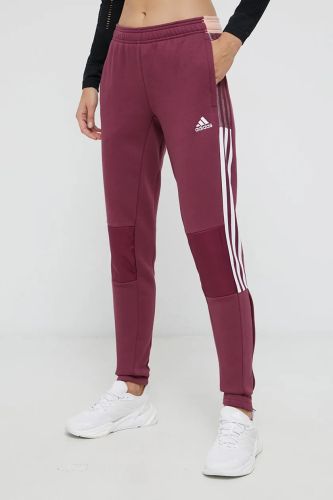 PANTS (1/1)